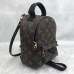 Louis Vuitton Palm Springs PM 